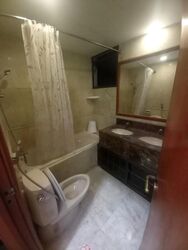 Parc Oasis (D22), Condominium #452796781